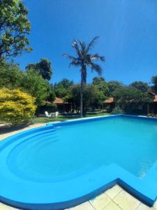 ein großer Pool mit einer Palme im Hintergrund in der Unterkunft Casas de Campo in Villa Urquiza