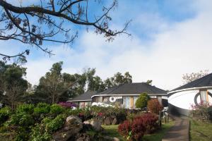 Gallery image of Altiplanico Rapa Nui in Hanga Roa +51 photos