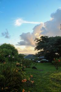 Gallery image of Altiplanico Rapa Nui in Hanga Roa
