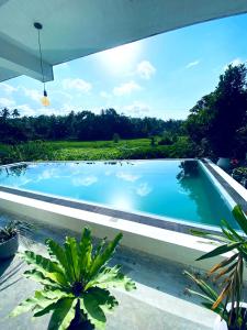 Bazén v ubytování southern grace apartment nebo v jeho okolí