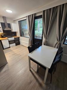 Η κουζίνα ή μικρή κουζίνα στο Studio Ski Lodge