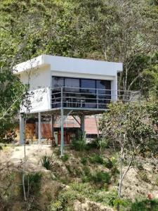 a house in the middle of a forest at Villas Entre Lagos in Lebrija