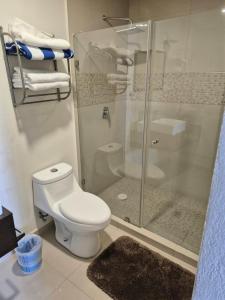 マサトランにあるTorre Pórtico de Lujo frente Playa y Malecónのトイレとシャワー付きのバスルーム