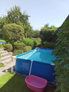 a swimming pool with a pink bowl next to it at Deluexe Ferienwohnung Eckl in Prackenbach