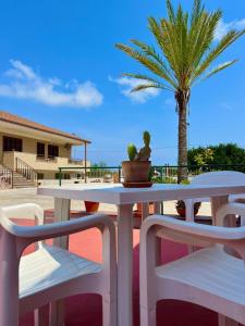 a white table and chairs on a patio with a palm tree at Augusta Holiday Home in Augusta +15 photos