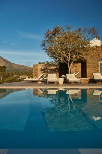 a swimming pool with lounge chairs and a tree at Leeu Estates in Franschhoek