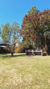 a park with a bench in a field with trees at Terrazas San Pedro in San Pedro