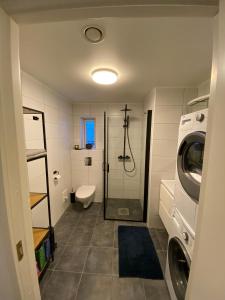 a bathroom with a shower and a washing machine at Apartment in Tromsø with parking in Tomasjorda +9 photos