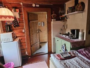a kitchen with a refrigerator and an open door at Romantic countryside SAUNA Cottage in Maakeski