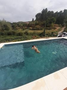 un uomo che nuota in una piscina di Quinta da Peça Douro Wine Region Retreat, Private Pool Villa a Vila Real