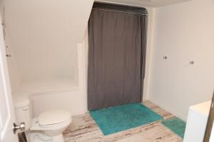 a bathroom with a toilet and a brown shower curtain at Luxurious Lakefront Cottage, Sleeps 12 in Bewdley +88 photos