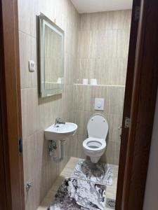 a bathroom with a toilet and a sink at Family Apartment Durmitor in Žabljak