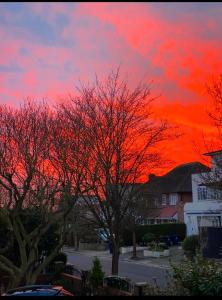 a red sky with a tree in front of a house at Prime Location Wembley Stadium London in London +2 photos