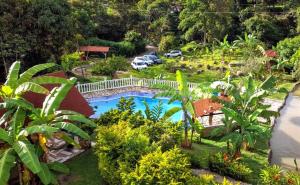 an aerial view of a garden with a swimming pool at Cabaña Orquidea Campestre in Fusagasuga