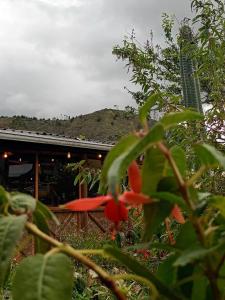 Příroda nedaleko penzionu