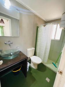 a bathroom with a toilet and a sink and a shower at Las Totoras PDD in Punta Del Diablo
