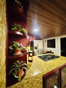 a kitchen with a counter with potted plants on it at Casa Costa Rica in Jacó