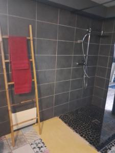 a bathroom with a shower with a red towel at Ti’Bou des Îles de Guadeloupe in Le Moule