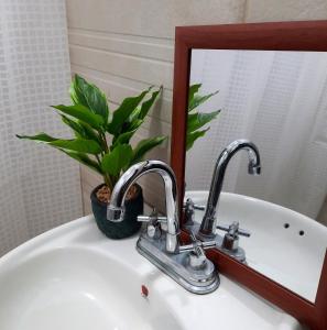 アラフエラにある2 Room 1 ba close to SJO airport, Poás and waterfallsの洗面台(2つの蛇口、植物付)