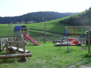 un parque infantil con toboganes y columpios en un campo en Hinterhauensteinhof, en Hornberg