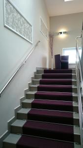 シェドルツェにあるHotel Restauracja Księżycowaの紫色のカーペット敷きの階段