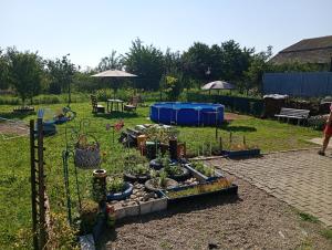 a garden with a bunch of plants in a yard at Casa Tamara in Turda