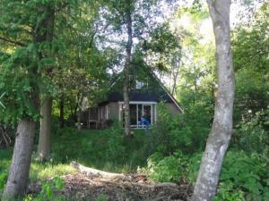 ein kleines Haus mitten im Wald in der Unterkunft Peaceful Holiday Home in Lemele in Lemele