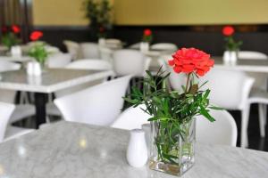 Fotografie z fotogalerie ubytování Express Inn Cebu Mabolo v destinaci Mabolo