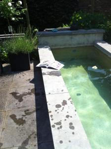 uma piscina de água com um jornal sentado nela em Onder de Noot em Baarlo