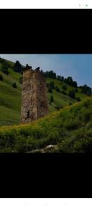 Fotografie z fotogalerie ubytování Guest house River side Adishi v destinaci Adishi