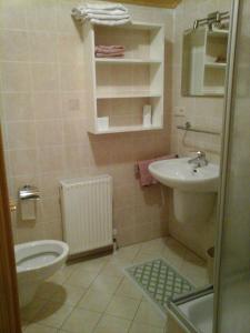 a bathroom with a toilet and a sink at Pension & Appartament Anna in Predoi +50 photos