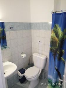 オリンピアキ・アクティにあるPetridis Hotelのバスルーム(トイレ、洗面台付)