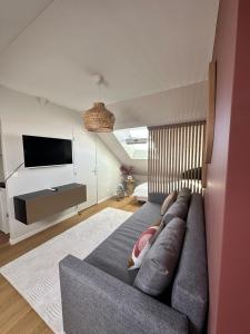 ein Wohnzimmer mit Couch und Fernseher in der Unterkunft Le precieux de la Gare in Saint-Pierre-des-Corps