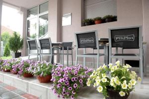 Un jardín fuera de Guesthouse Đokić