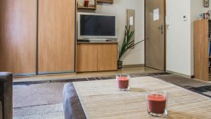 Apartament Milanoにあるテレビまたはエンターテインメントセンター