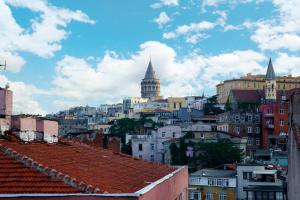 uitzicht op een stad met gebouwen en moskeeën bij Tophane Suites in Istanbul
