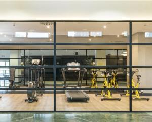Fitness centrum a/nebo fitness zařízení v ubytování Ilunion Pio XII