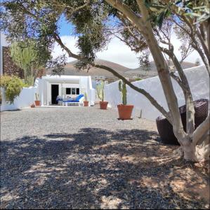 a white house with a tree in the foreground at Casa Vento in La Asomada