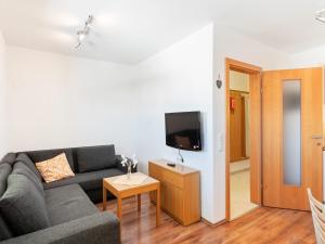 a living room with a couch and a tv at Apartment in Saalfelden near Ski Slopes in Saalfelden am Steinernen Meer
