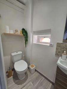 a bathroom with a white toilet and a sink at Mediterranean Studio in Saint-Cyprien