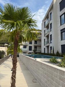 a palm tree on a sidewalk next to a building at Nicks sea view appartement II in Petrovac na Moru