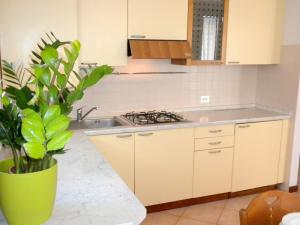 a kitchen with a sink and a potted plant at Retreat at Via Toscanini in Lazise +27 photos