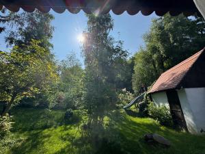 a view of a yard with a house and a tree at Székelykapu vendégház in Mátraszentimre +59 photos