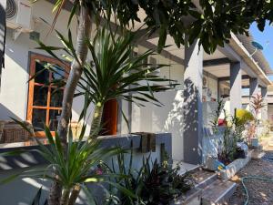 a house with a palm tree in front of it at Sumbawa Maluk Homestay Kost tika in Maluk +37 photos