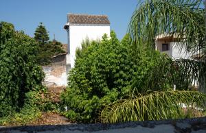 a white building in the middle of some bushes at Hotel Viento10 in Córdoba