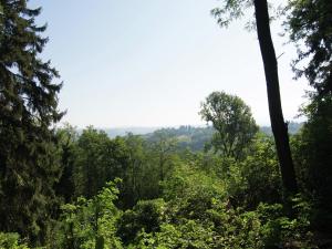 Φυσικό τοπίο κοντά σε αυτή η παραθεριστική κατοικία +26 φωτογραφίες