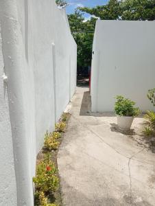 a white wall next to a sidewalk with plants at Malapasqua Island Cottage Holiday House in Daanbantayan