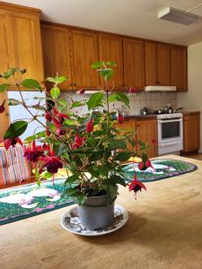 Imagen de la galería de Torseke, en Kristianstad 31 fotos más