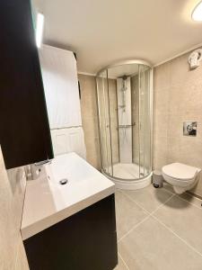 a bathroom with a sink and a toilet and a shower at Downtown apartment in Stavanger +3 photos