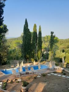 una piscina con sillas y sombrillas y árboles en Donna Tosca Country Holiday Home, en Suvereto